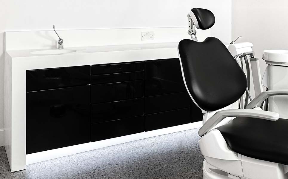 fat cab and cleo close up Modern Dental Cabinetry 'FAT cab'