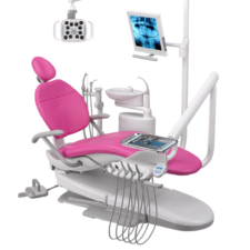 Belmont 300 Dental Chair in traditional