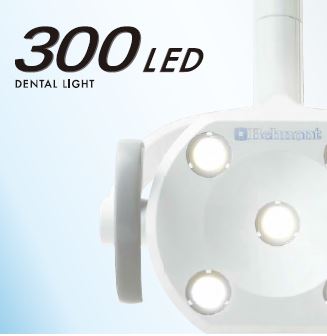 Belmont 300 Series LED Light Brochure Cover