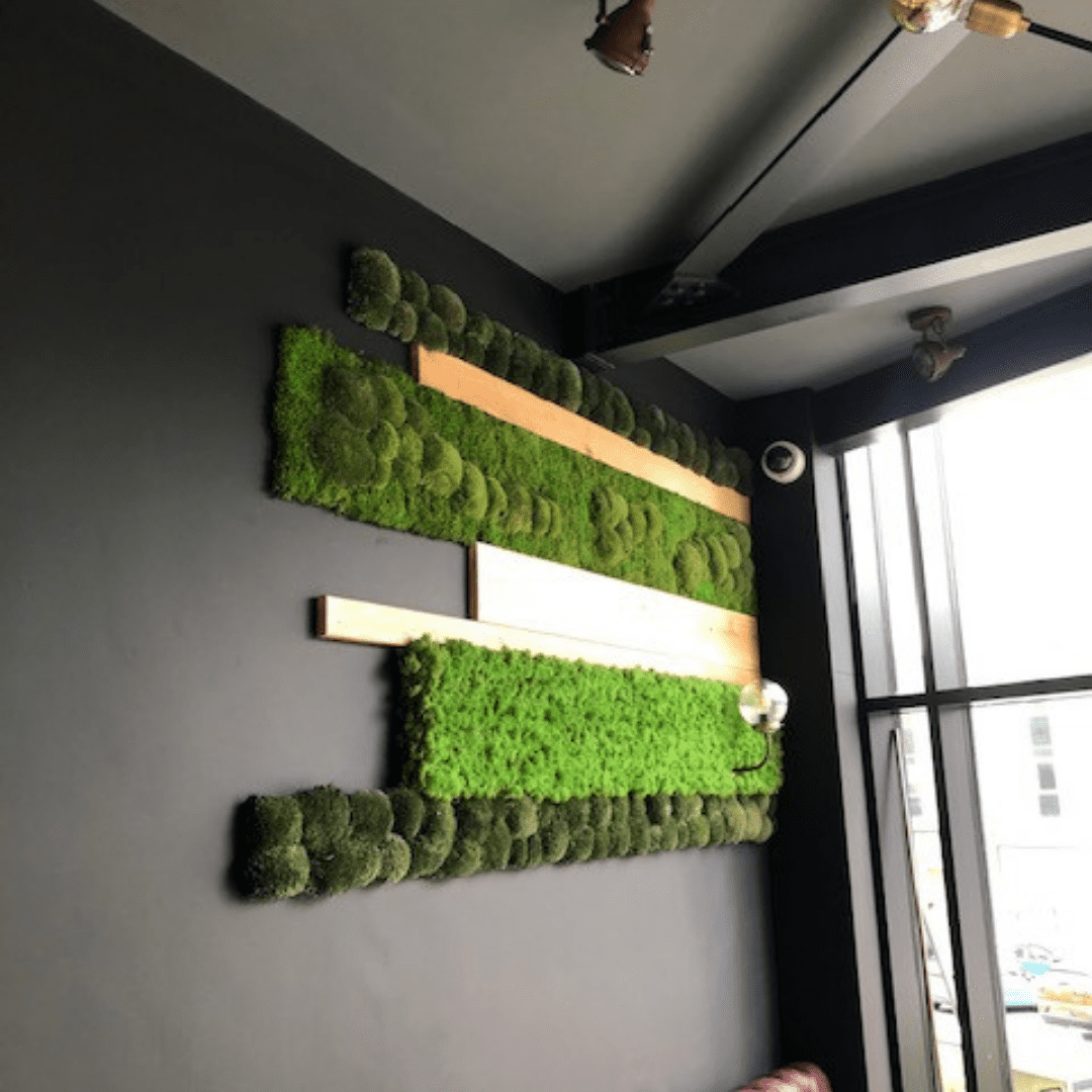 Innerspace Green Walls